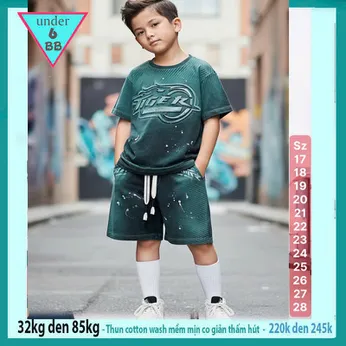 Đồ bộ bé trai cotton tay ngắn ( vải wash ) Mã : 004