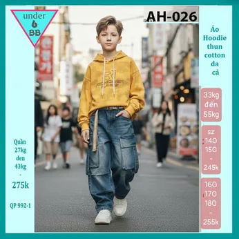 Áo thun bé trai tay dài có nón ( mã AH - 026 )