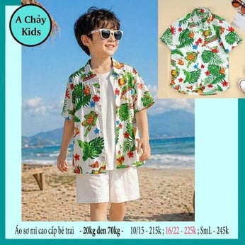 Áo sơ mi bé trai tay ngắn in chú Rùa phong cách năng động cho bé diện đi biển , du lịch