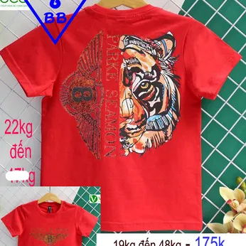 Áo Thun bé trai cotton tay ngắn in hình Tiger phong cách cá tính cool ngầu cho  bé trai đi học