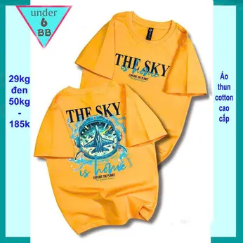 Áo thun bé trai cotton in chữ THE SKY phong cách cá tính cho bé đi chơi , đi học