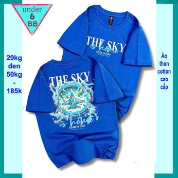 Áo thun bé trai cotton in chữ THE SKY phong cách cá tính cho bé đi chơi , đi học