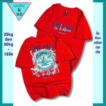 Áo thun bé trai cotton in chữ THE SKY phong cách cá tính cho bé đi chơi , đi học