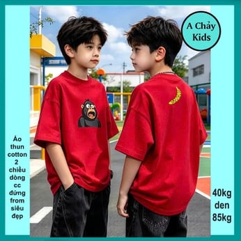 Áo thun cotton bé trai in Hình Chú Khỉ Ngốc Nghếch siêu cưng cho bé diện phố , du lịch