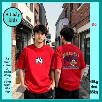 Áo thun in chữ phong cách thời trang cá tính dành cho tuổi teen diện phố , du lịch