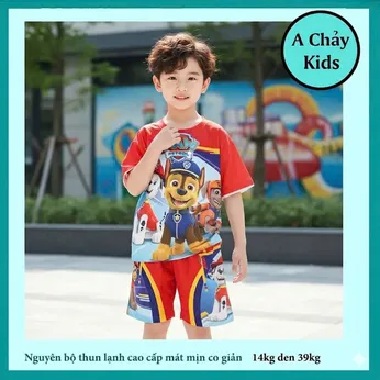 Đồ bộ bé trai thun lạnh tay ngắn in 3D hình chó cứu hộ - PAW Patrol cho bé đi chơi , đi học