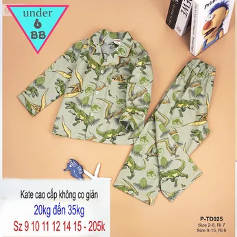 Đồ pijama tay dài quần dài in họa tiết hình Khủng Long bạo chúa siêu đáng yêu  cho bé trai