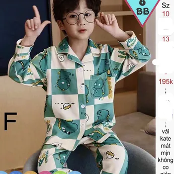 Đồ pijama vải Kate cao cấp in họa tiết hoạt hình  cho bé trai mặc Ngủ - 4