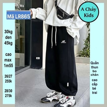 Quần thun dài bé trai ( QC : LR865 - 30kg đên 45kg )