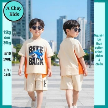 Set đồ bộ bé trai hoạt hình in hình CÁ MẬP cho bé yêu diện đi chơi , đi học