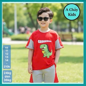 Set đồ bộ bé trai hoạt hình in khủng long dễ thương cho bé đi chơi , đi học