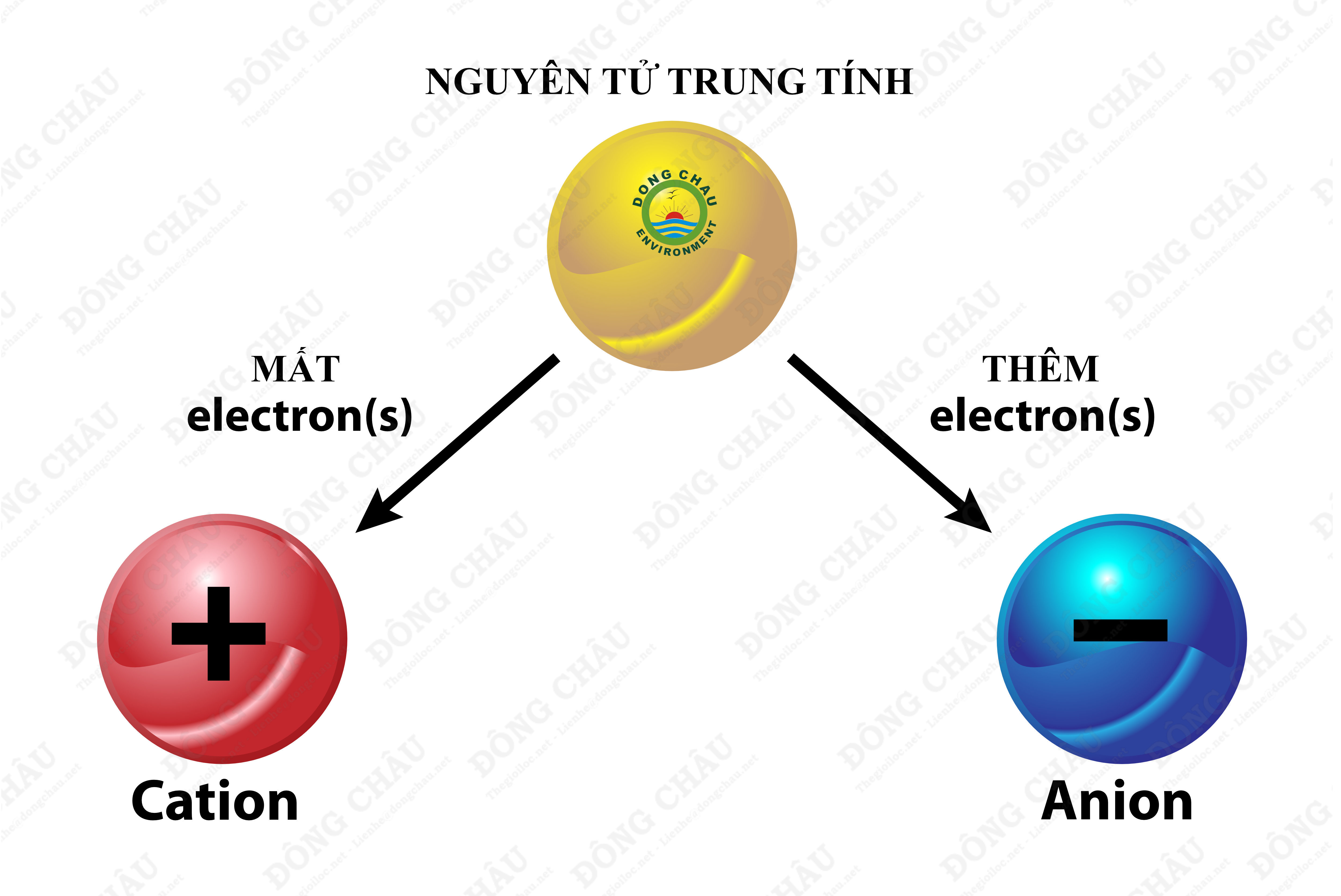 Chi tiết cấu tạo anion loại bỏ độ cứng của nước bằng cách giảm nồng độ Ca2+ và Mg2+