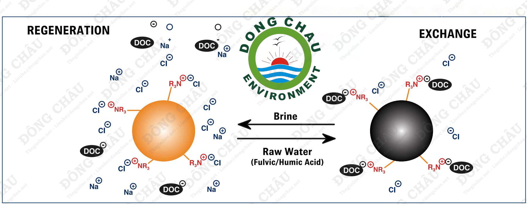Nguyên lý cấu tạo hạt nhựa trao đổi ion