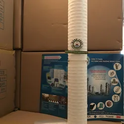 Lõi lọc giấy xếp 0.1µm 20 inch oring 226