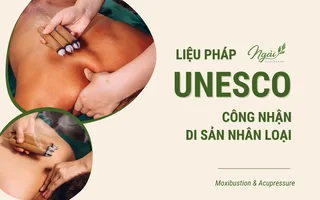 Tuyển dụng Trị Liệu Viên Massage Bấm Huyệt Trị Liệu