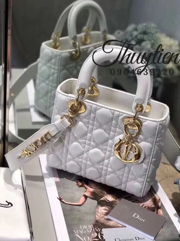 Which Lady Dior bag should you buy 4 size comparisons   YouTube