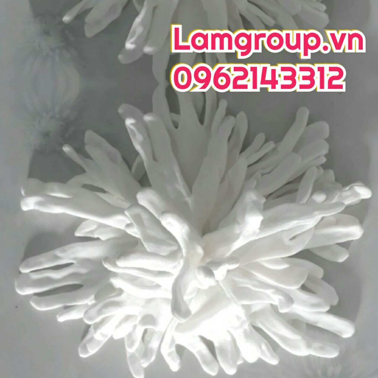 Găng Tay Thun Trắng Cho Cửa Hàng Vàng Bạc Đá Quý Găng Tay Thun Trắng Cho Cửa Hàng Vàng Bạc Đá Quý