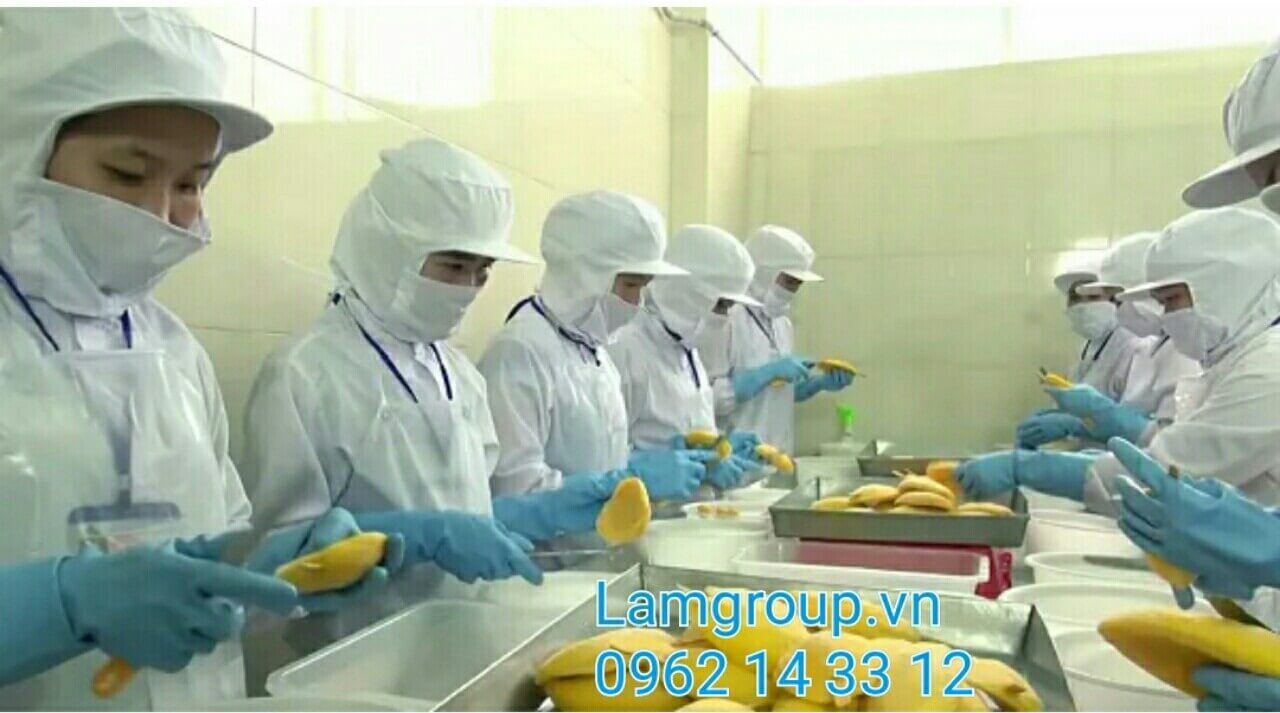 NHÀ PHÂN PHỐI GĂNG TAY CHẾ BIẾN THỦY SẢN UY TÍN NHÀ PHÂN PHỐI GĂNG TAY CHẾ BIẾN THỦY SẢN UY TÍN