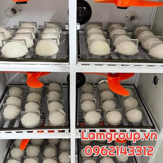 CUNG CẤP SỈ LẺ YẾN SÀO GIÁ TỐT CUNG CẤP SỈ LẺ YẾN SÀO GIÁ TỐT
