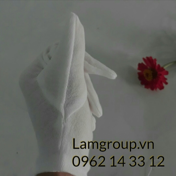 MUA GĂNG TAY VẢI COTTON GIÁ SỈ TẠI XƯỞNG SẢN XUẤT TPHCM MUA GĂNG TAY VẢI COTTON GIÁ SỈ TẠI XƯỞNG SẢN XUẤT TPHCM
