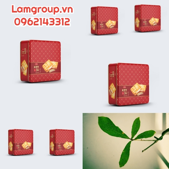 Cung cấp sỉ giỏ quà tết bánh kẹo đẹp ý nghĩa mừng xuân Quý mão 2023 có hoá đơn VAT Cung cấp sỉ giỏ quà tết bánh kẹo đẹp ý nghĩa mừng xuân Quý mão 2023 có hoá đơn VAT