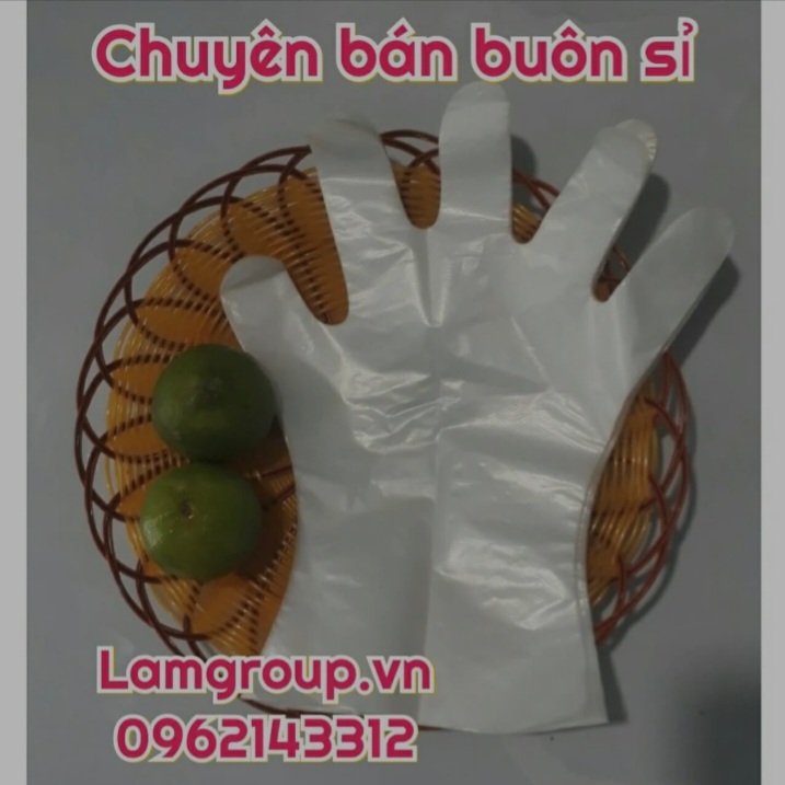 Găng tay nilon dùng một lần – giải pháp vệ sinh an toàn, tiện lợi mỗi ngày Găng tay nilon dùng một lần – giải pháp vệ sinh an toàn, tiện lợi mỗi ngày