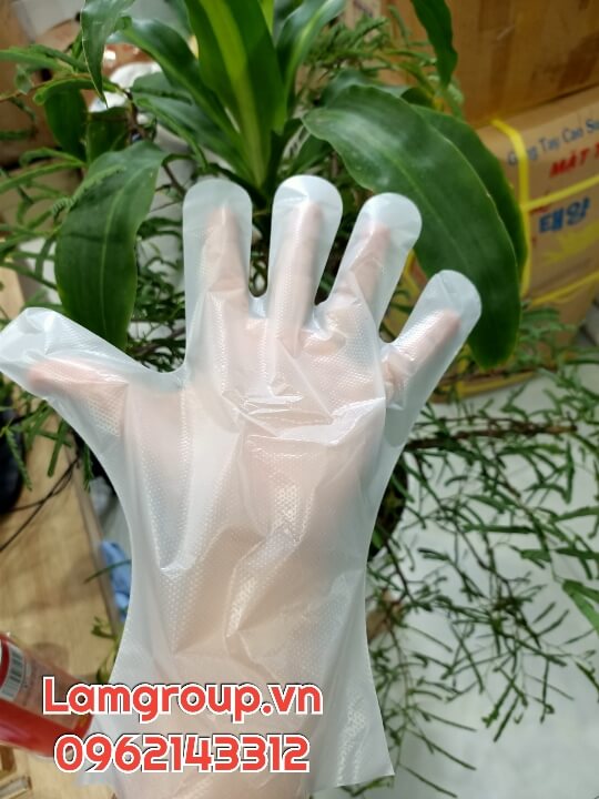 Xưởng găng tay nilon trắng tại TP.HCM Xưởng găng tay nilon trắng tại TP.HCM