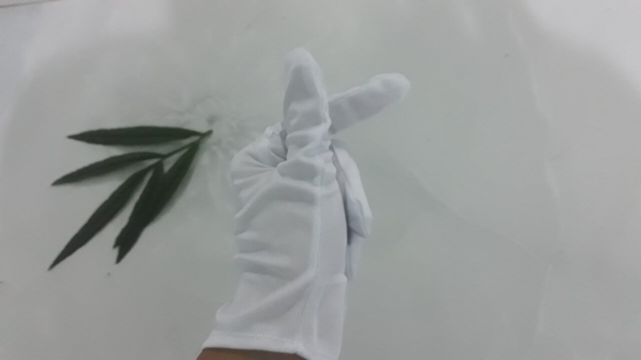 găng tay vải găng tay vải