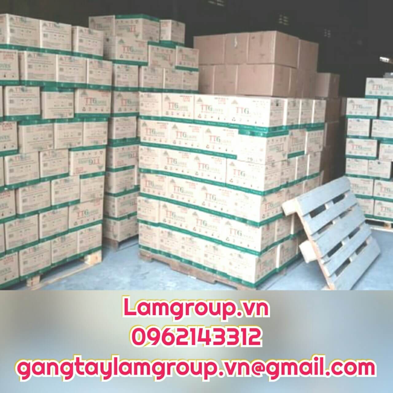 Găng tay y tế VietGloves Găng tay y tế VietGloves