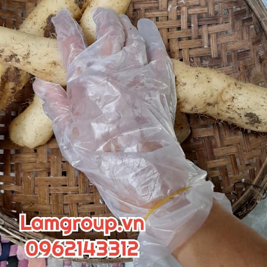 Nhà cung cấp găng tay nilon tại Vĩnh Lộc- Tp.HCM Nhà cung cấp găng tay nilon tại Vĩnh Lộc- Tp.HCM