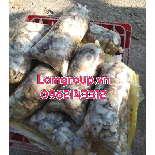 Công ty bao bì túi bóng giá rẻ tại Tp.HCM Công ty bao bì túi bóng giá rẻ tại Tp.HCM