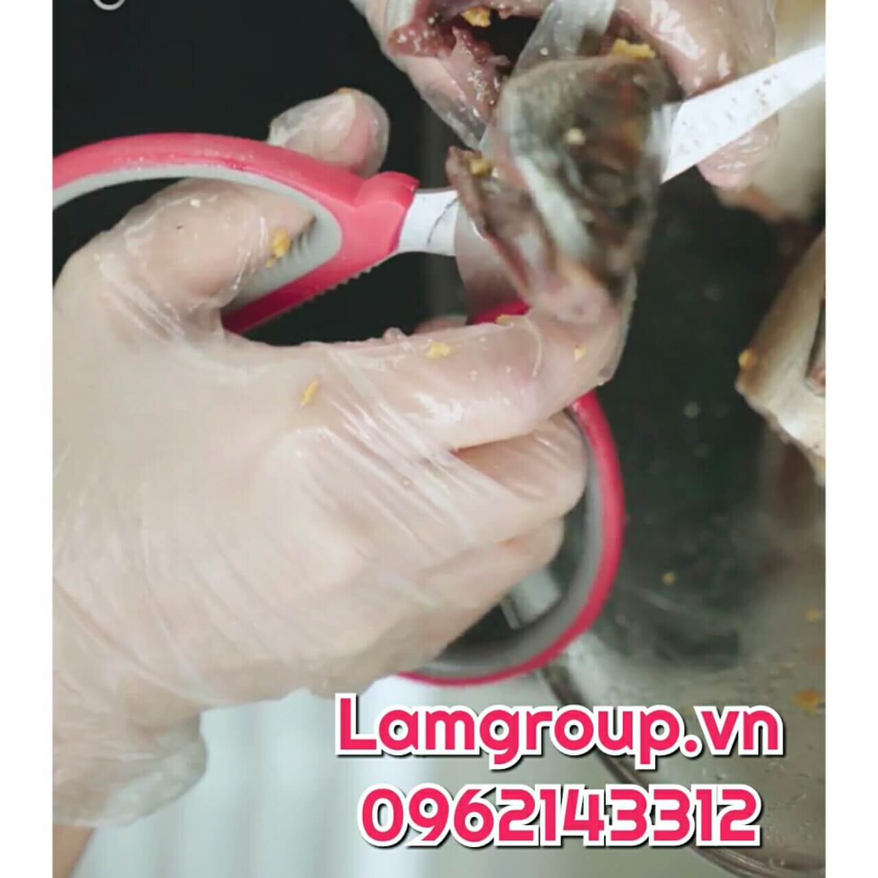 GĂNG TAY NILON  XỐP TRẮNG ĐẢM BẢO AN TOÀN VỆ SINH THỰC PHẨM GĂNG TAY NILON  XỐP TRẮNG ĐẢM BẢO AN TOÀN VỆ SINH THỰC PHẨM