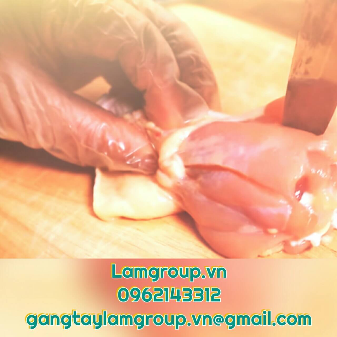 Găng tay nilon xốp bán buôn rẻ Găng tay nilon xốp bán buôn rẻ