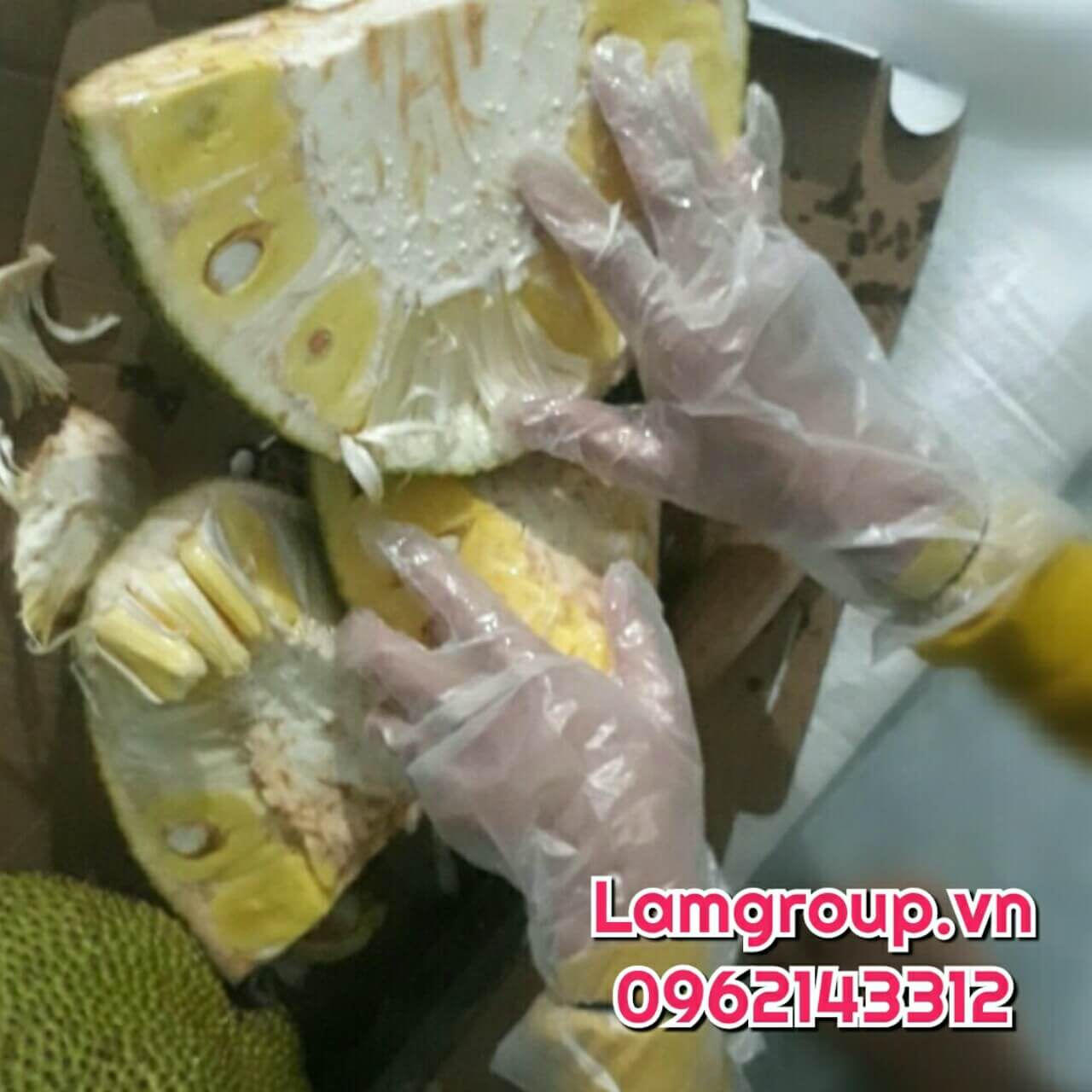 Găng tay nilon dùng chế biến rau củ quả tại chợ siêu thị quán ăn Găng tay nilon dùng chế biến rau củ quả tại chợ siêu thị quán ăn