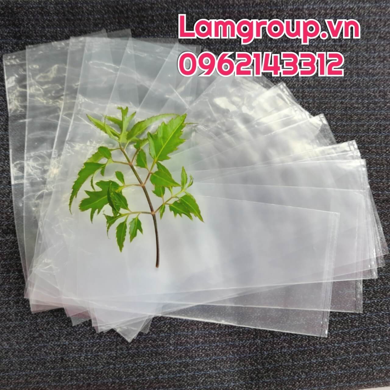 Bán sỉ túi nilong trong suốt giá rẻ tại TP.HCM Bán sỉ túi nilong trong suốt giá rẻ tại TP.HCM