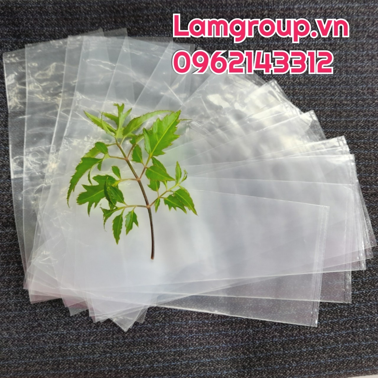 Nguồn hàng sỉ túi PE giá tốt tháng 2 tại Tp.HCM Nguồn hàng sỉ túi PE giá tốt tháng 2 tại Tp.HCM