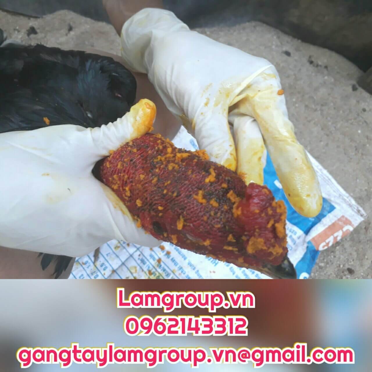 Găng tay y tế giá rẻ chất lượng cao tại TP.HCM Găng tay y tế giá rẻ chất lượng cao tại TP.HCM