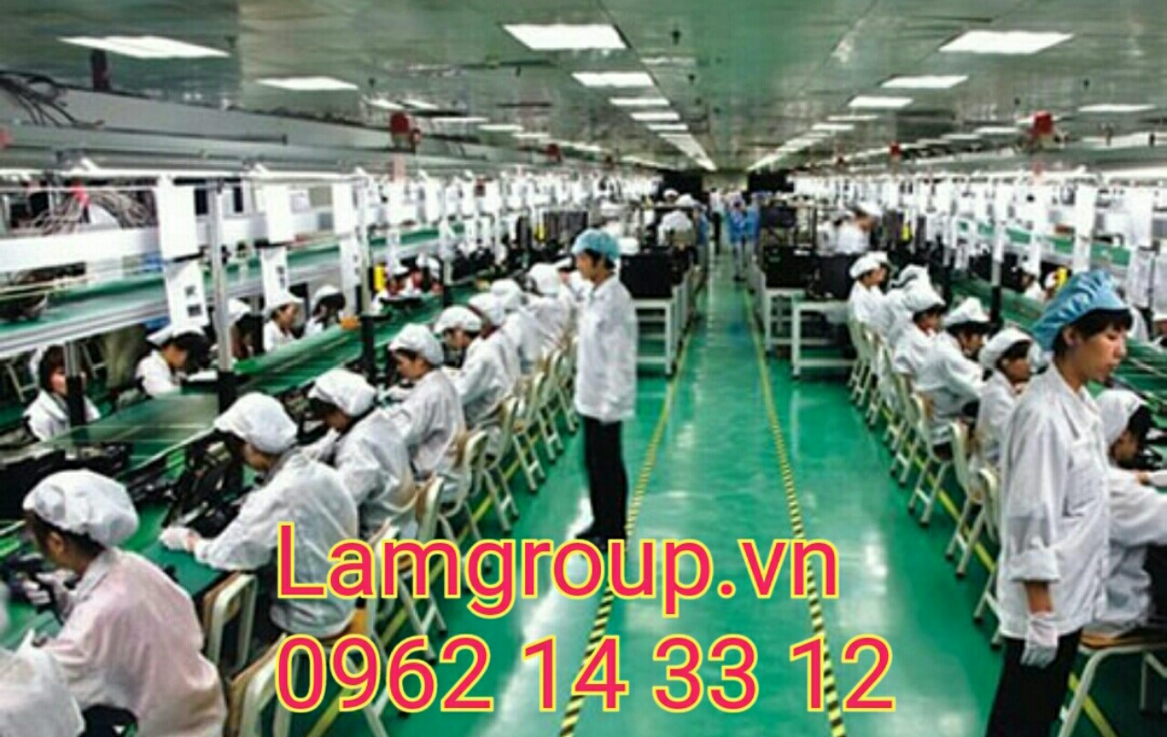 5 YẾU TỐ QUYẾT ĐỊNH GIÁ GĂNG TAY BẢO HỘ 5 YẾU TỐ QUYẾT ĐỊNH GIÁ GĂNG TAY BẢO HỘ