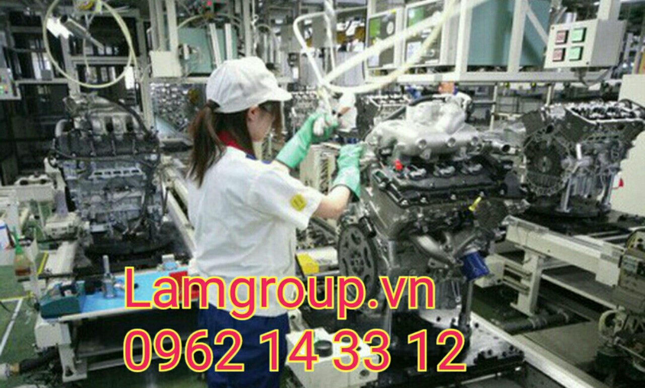 5 YẾU TỐ QUYẾT ĐỊNH GIÁ GĂNG TAY BẢO HỘ 5 YẾU TỐ QUYẾT ĐỊNH GIÁ GĂNG TAY BẢO HỘ