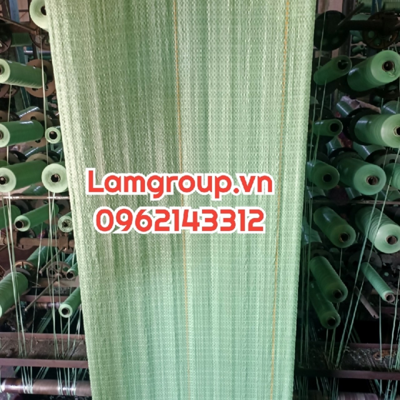 bao-tai-dung-da bao-tai-dung-da