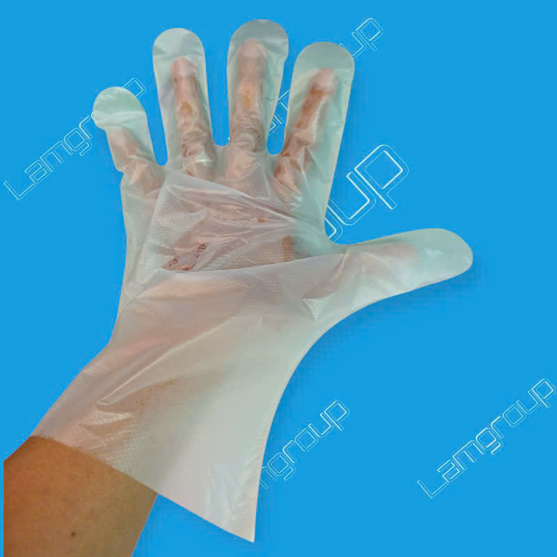 Găng tay nilon dùng một lần: Lựa chọn tiện lợi và an toàn cho mọi công việc Găng tay nilon dùng một lần: Lựa chọn tiện lợi và an toàn cho mọi công việc