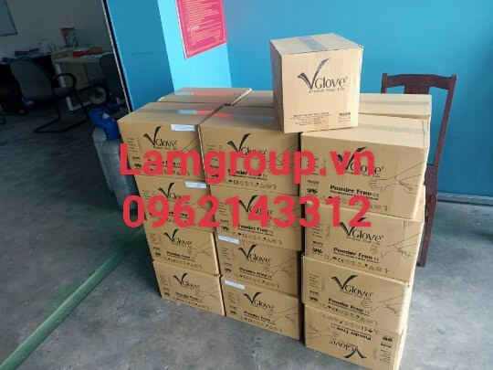 găng tay cao su y tế vglove không bột găng tay cao su y tế vglove không bột