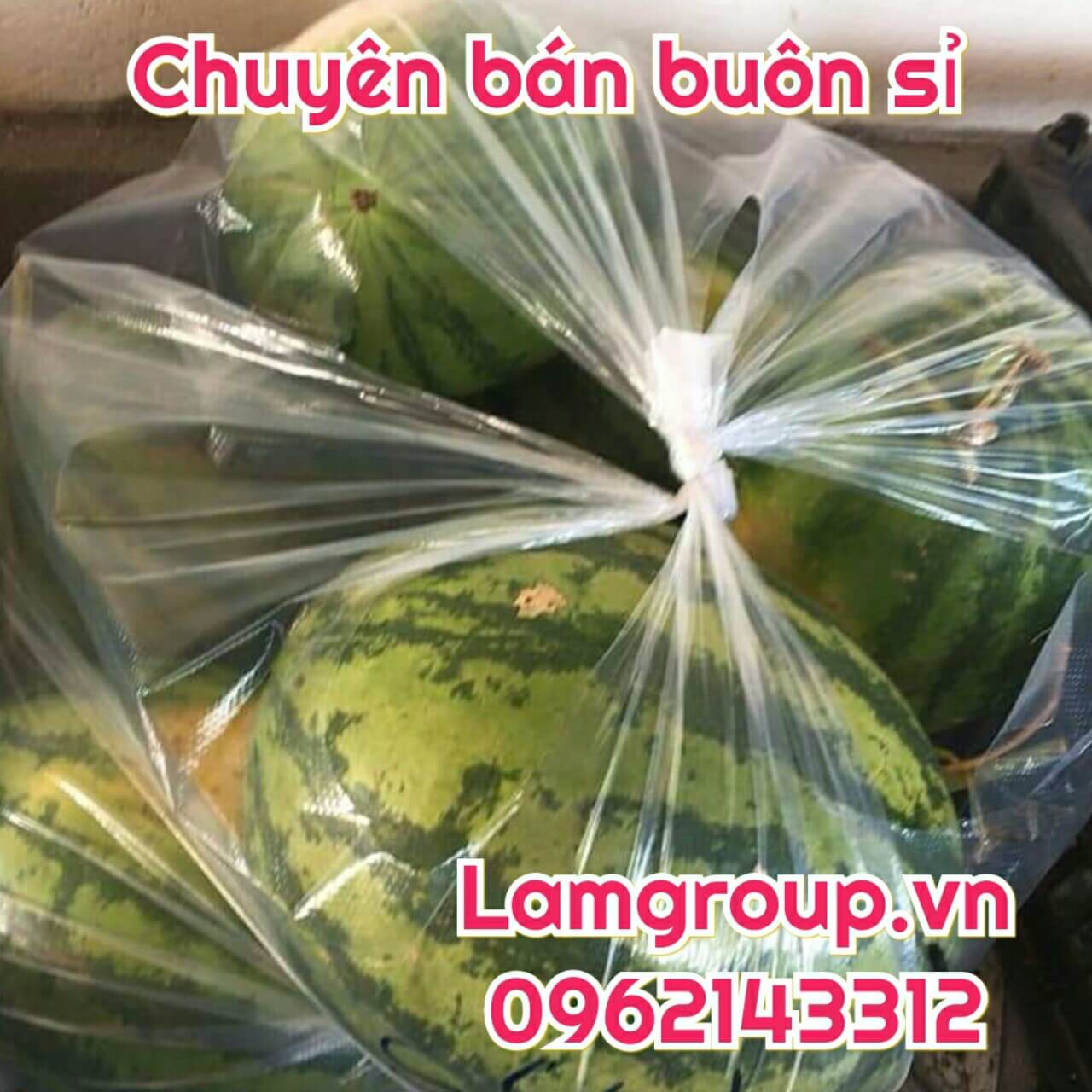 Xưởng sản xuất cắt dập bao bì túi bịch PP- PE hàng thông dụng và theo yêu cầu Xưởng sản xuất cắt dập bao bì túi bịch PP- PE hàng thông dụng và theo yêu cầu