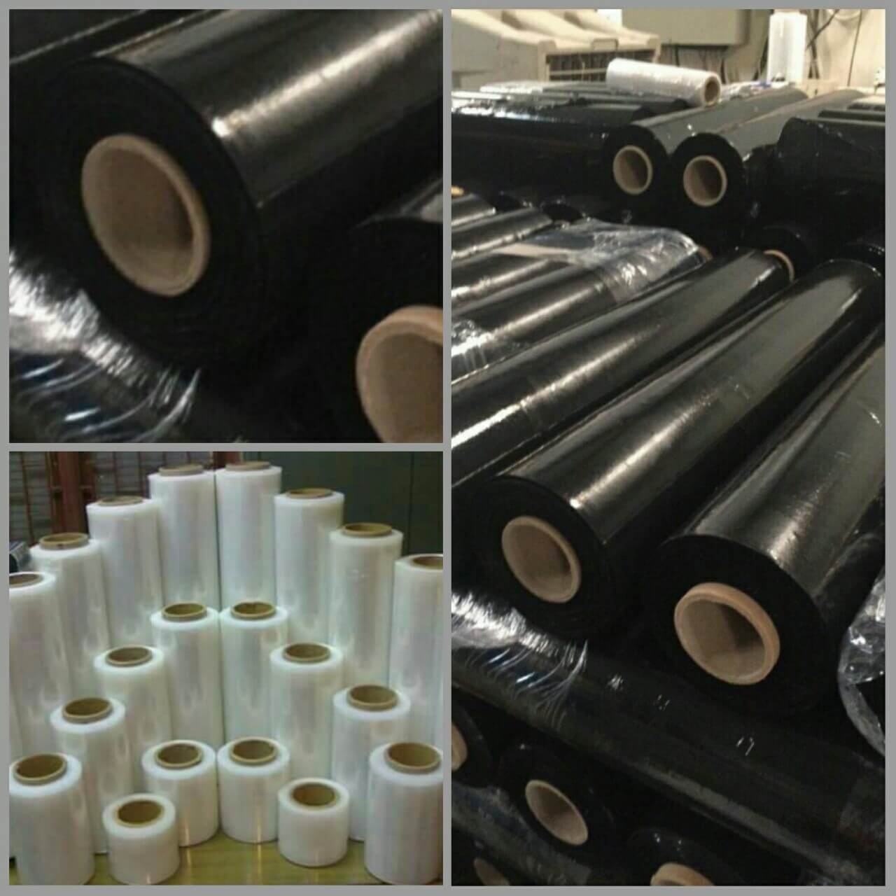 SẢN XUẤT VÀ PHÂN PHỐI SỈ LẺ CÂY MÀNG PE QUẤN HÀNG SẢN XUẤT VÀ PHÂN PHỐI SỈ LẺ CÂY MÀNG PE QUẤN HÀNG