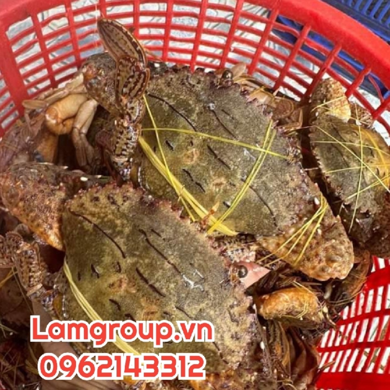 Công ty cung cấp dây thun khoanh tròn giá rẻ Công ty cung cấp dây thun khoanh tròn giá rẻ