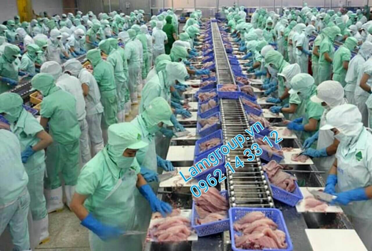 găng tay cao su dùng trong công nghiệp găng tay cao su dùng trong công nghiệp