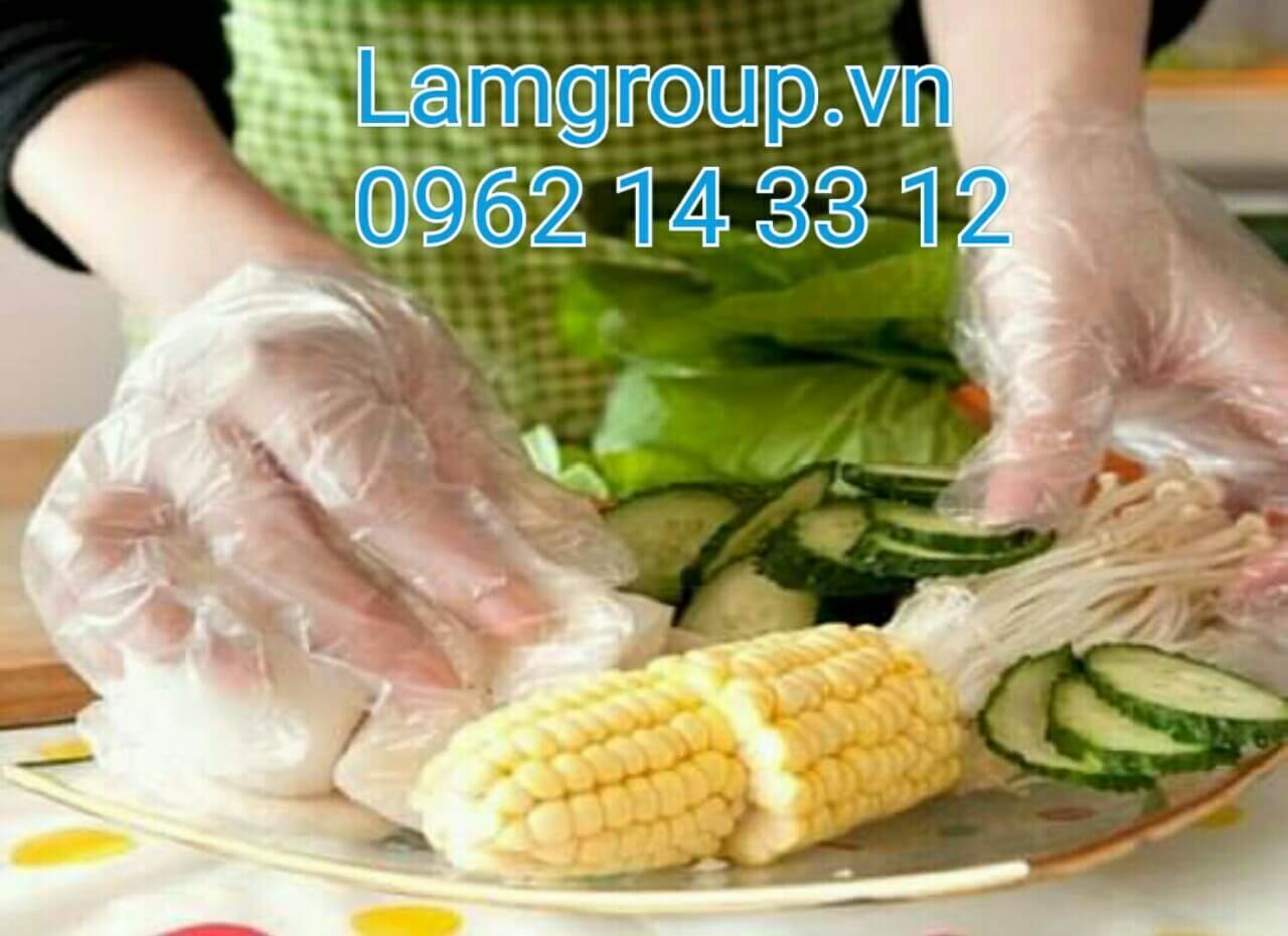 găng tay nilon dùng 1 lần trong chế biến thực phẩm găng tay nilon dùng 1 lần trong chế biến thực phẩm