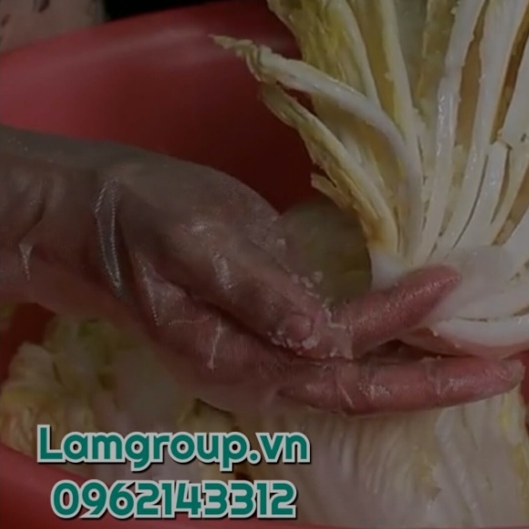 Găng tay nilon dùng một lần: Lựa chọn tiện lợi và an toàn cho mọi công việc Găng tay nilon dùng một lần: Lựa chọn tiện lợi và an toàn cho mọi công việc