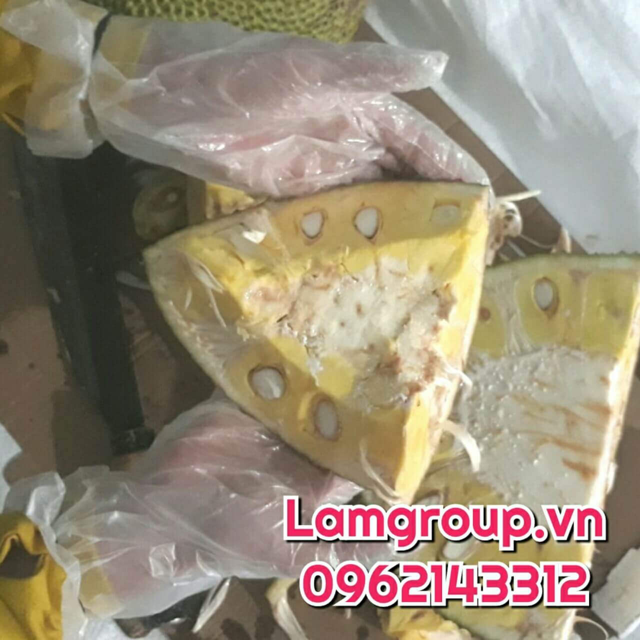 Găng tay xốp đa dụng chất lượng cao Găng tay xốp đa dụng chất lượng cao