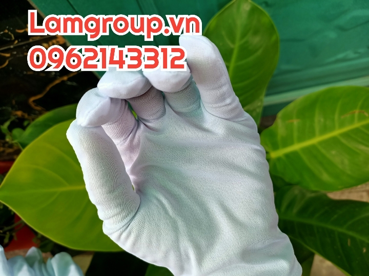 Bỏ sỉ bao tay vải trắng T9 - PE - PET giá rẻ tại TP.HCM và các tỉnh lân cận Bỏ sỉ bao tay vải trắng T9 - PE - PET giá rẻ tại TP.HCM và các tỉnh lân cận